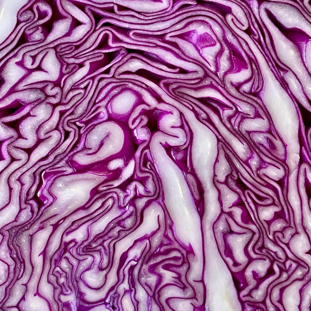 Red Cabbage